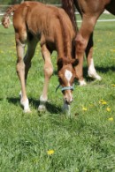 big_50042159_0_130-195