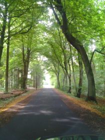 Auf dem Weg zum Brelienhof